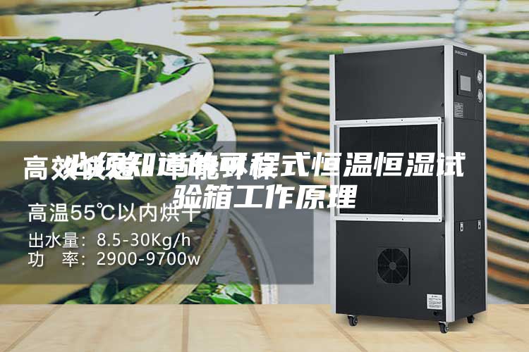 必须知道的可程式恒温恒湿试验箱工作原理