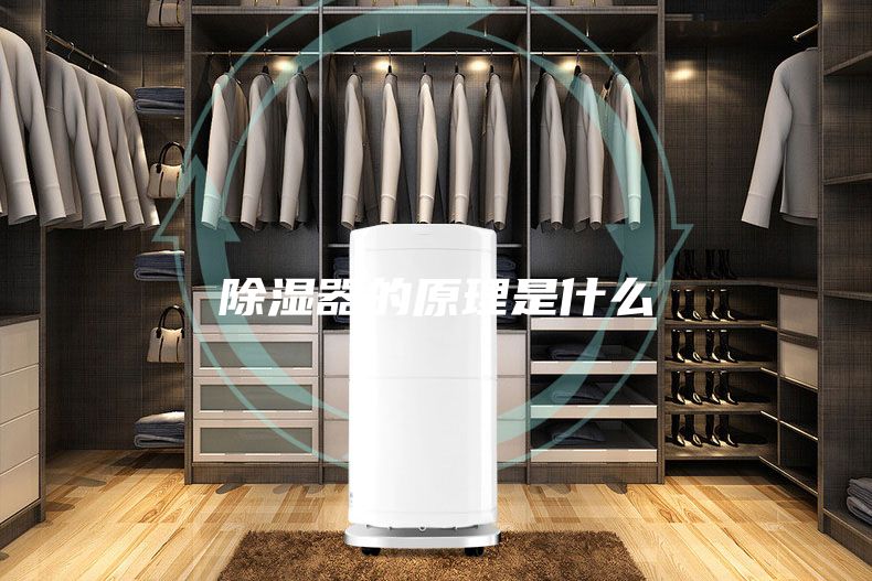 除湿器的原理是什么
