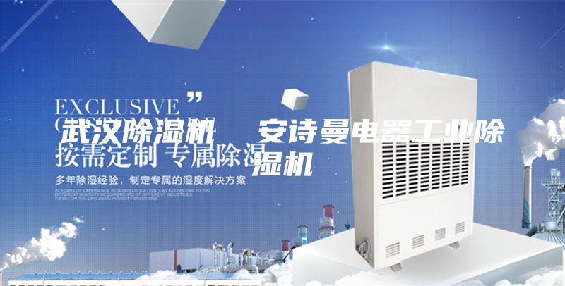 武汉除湿机  安诗曼电器工业除湿机