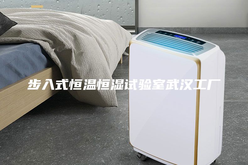 步入式恒温恒湿试验室武汉工厂