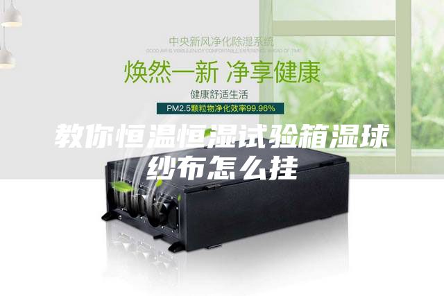 教你恒温恒湿试验箱湿球纱布怎么挂