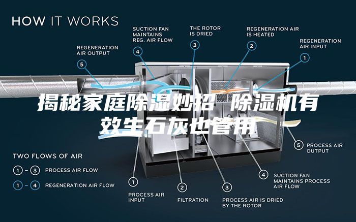 揭秘家庭除湿妙招 除湿机有效生石灰也管用