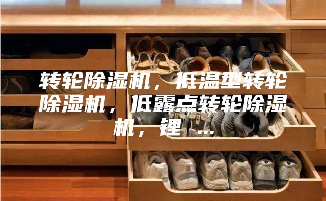 转轮除湿机，低温型转轮除湿机，低露点转轮除湿机，锂 ...