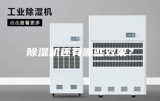 除湿机还有哪些效果？