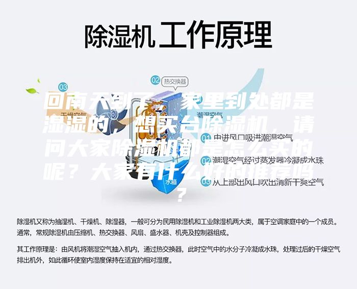回南天到了，家里到处都是湿湿的，想买台除湿机，请问大家除湿机都是怎么买的呢？大家有什么好的推荐吗？