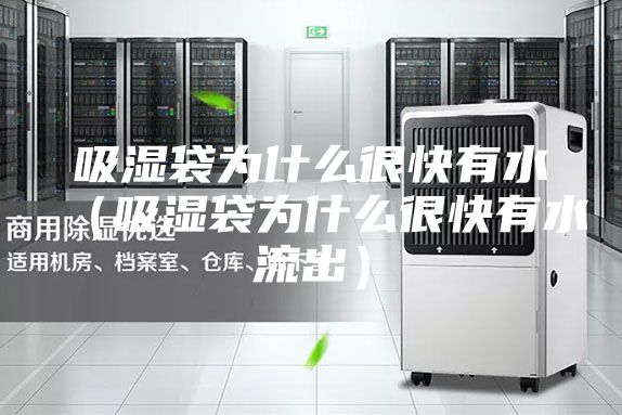 吸湿袋为什么很快有水（吸湿袋为什么很快有水流出）
