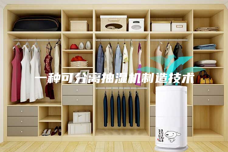一种可分离抽湿机制造技术