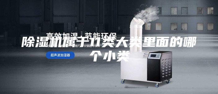 除湿机属于11类大类里面的哪个小类