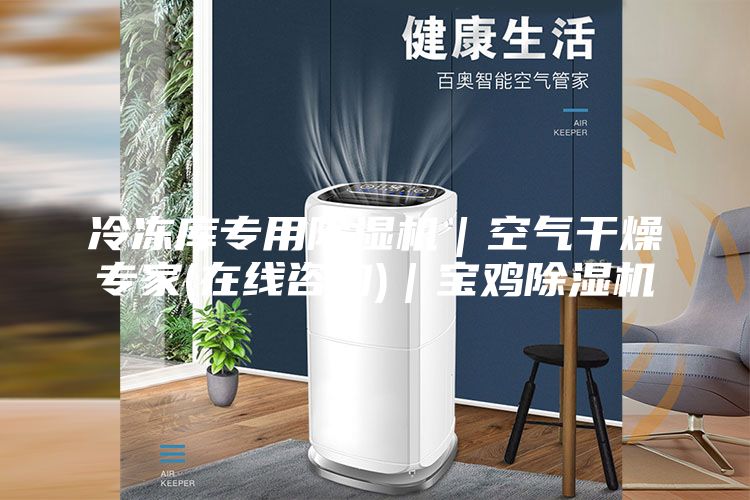 冷冻库专用除湿机｜空气干燥专家(在线咨询)｜宝鸡除湿机