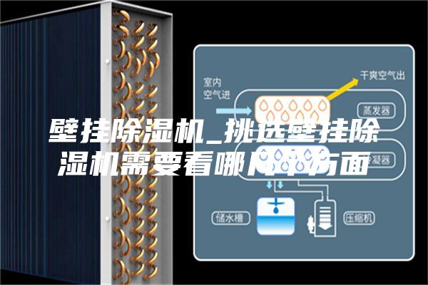 壁挂除湿机_挑选壁挂除湿机需要看哪几个方面