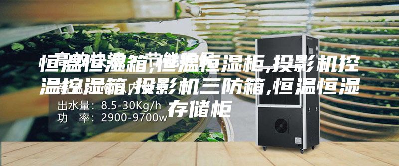 恒温恒湿箱,恒温恒湿柜,投影机控温控湿箱,投影机三防箱,恒温恒湿存储柜