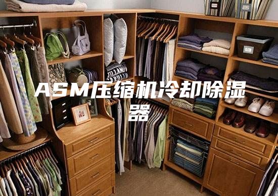 ASM压缩机冷却除湿器