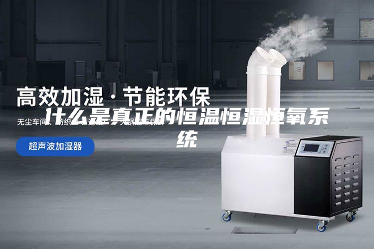 什么是真正的恒温恒湿恒氧系统
