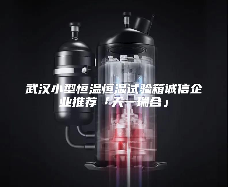 武汉小型恒温恒湿试验箱诚信企业推荐「天一瑞合」