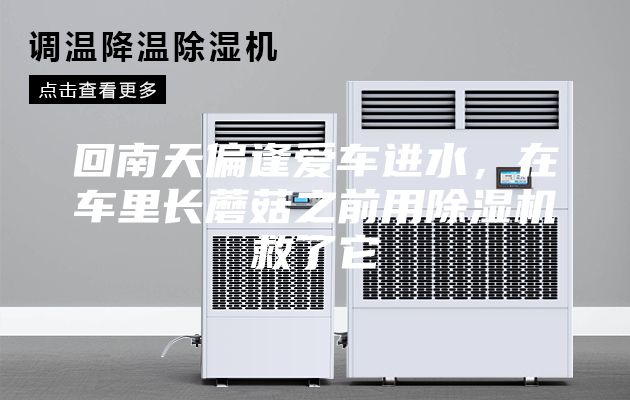回南天偏逢爱车进水，在车里长蘑菇之前用除湿机救了它