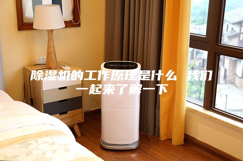 除湿机的工作原理是什么 我们一起来了解一下