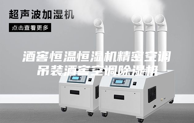 酒窖恒温恒湿机精密空调吊装酒窖空调除湿机