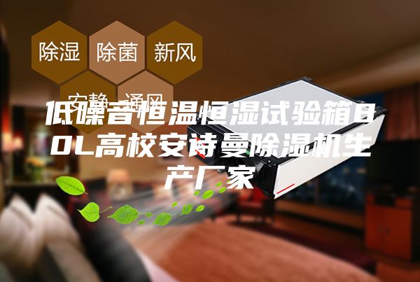 低噪音恒温恒湿试验箱80L高校安诗曼除湿机生产厂家