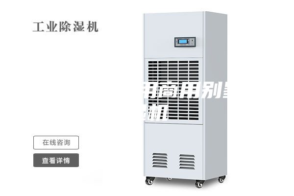黄冈家用民用商用别墅除湿机