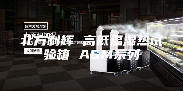 北方利辉 高低温湿热试验箱 ASM系列