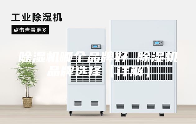 除湿机哪个品牌好 除湿机品牌选择【详解】