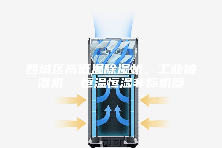 西城区高低温除湿机，工业抽湿机  恒温恒湿非标机器
