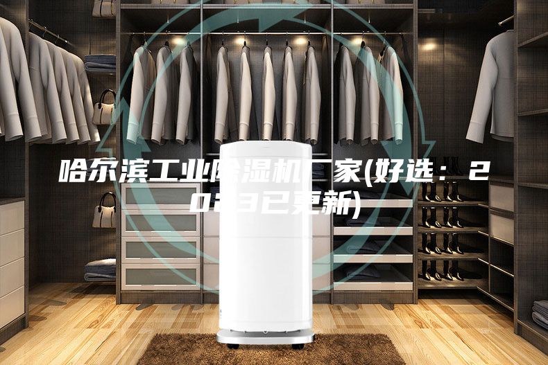 哈尔滨工业除湿机厂家(好选：2023已更新)