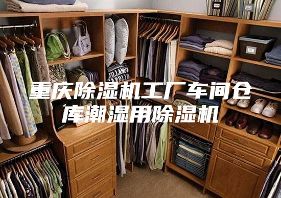 重庆除湿机工厂车间仓库潮湿用除湿机