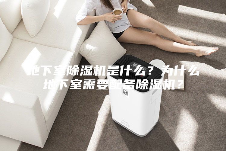 地下室除湿机是什么？为什么地下室需要配备除湿机？