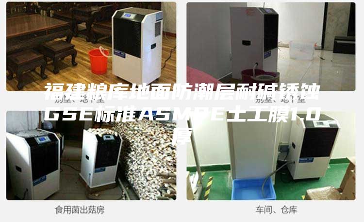 福建粮库地面防潮层耐碱锈蚀GSE标准ASMPE土工膜1.0厚