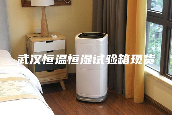 武汉恒温恒湿试验箱现货