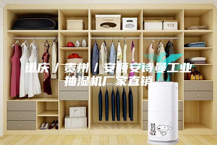 重庆／贵州／安顺安诗曼工业抽湿机厂家直销
