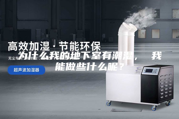 为什么我的地下室有潮湿， 我能做些什么呢？