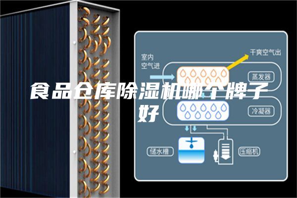食品仓库除湿机哪个牌子好
