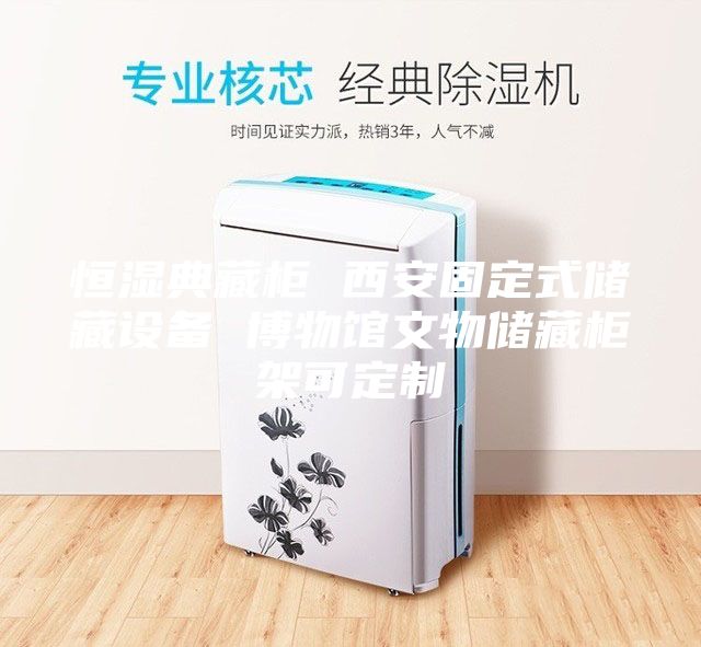 恒湿典藏柜 西安固定式储藏设备 博物馆文物储藏柜架可定制