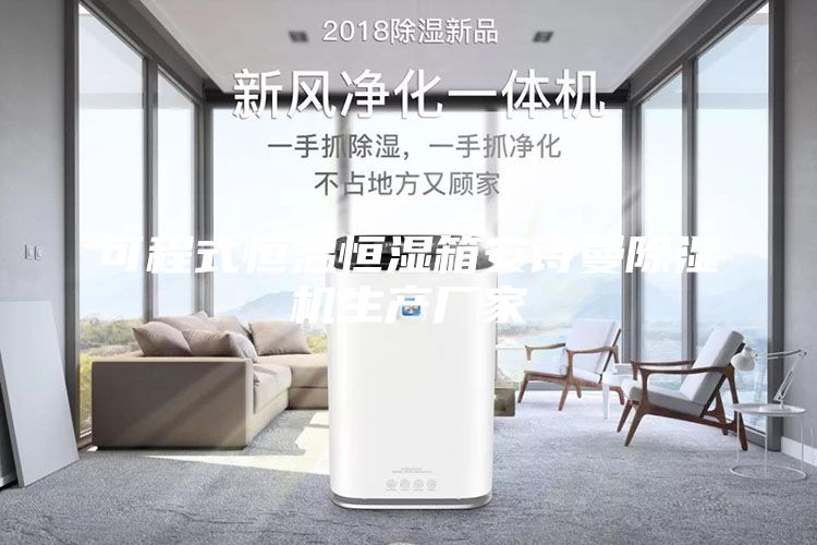 可程式恒温恒湿箱安诗曼除湿机生产厂家
