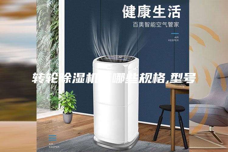 转轮除湿机有哪些规格,型号