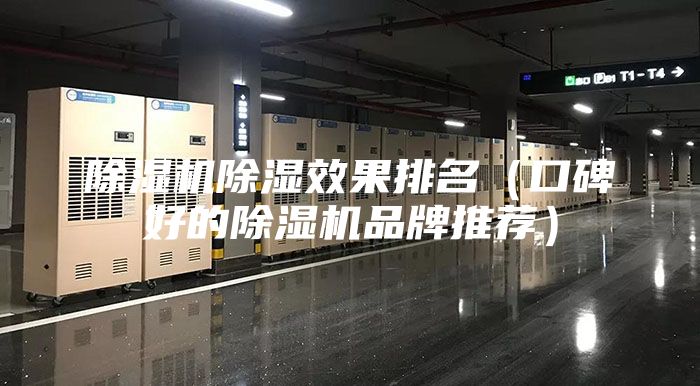 除湿机除湿效果排名（口碑好的除湿机品牌推荐）