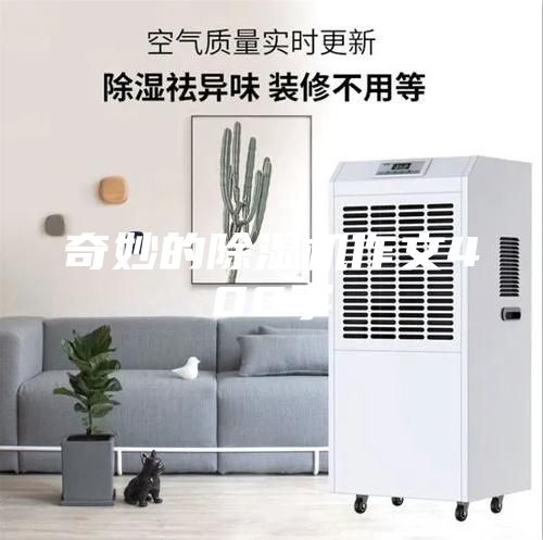 奇妙的除湿机作文400字