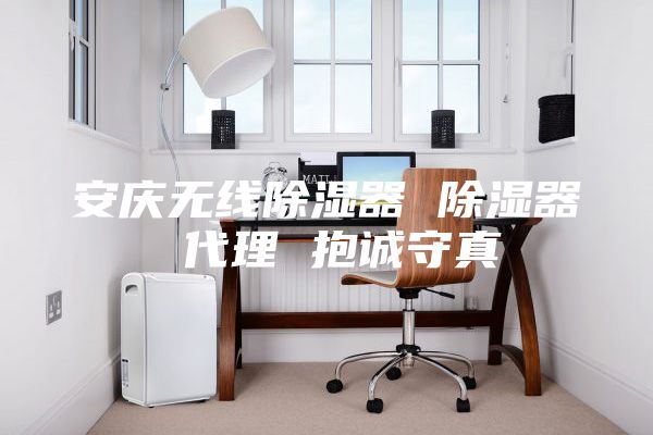 安庆无线除湿器 除湿器 代理 抱诚守真
