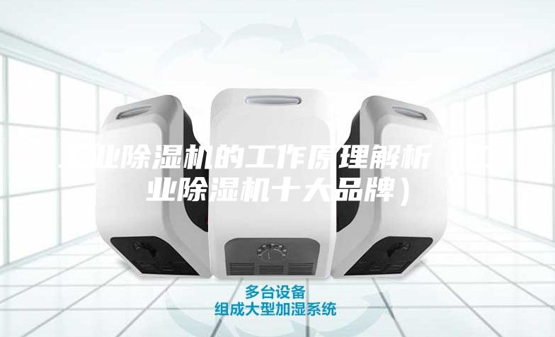 工业除湿机的工作原理解析（工业除湿机十大品牌）