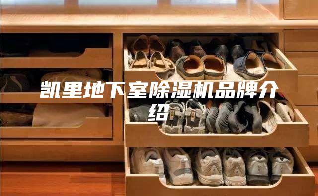 凯里地下室除湿机品牌介绍