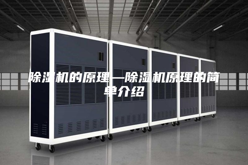 除湿机的原理—除湿机原理的简单介绍