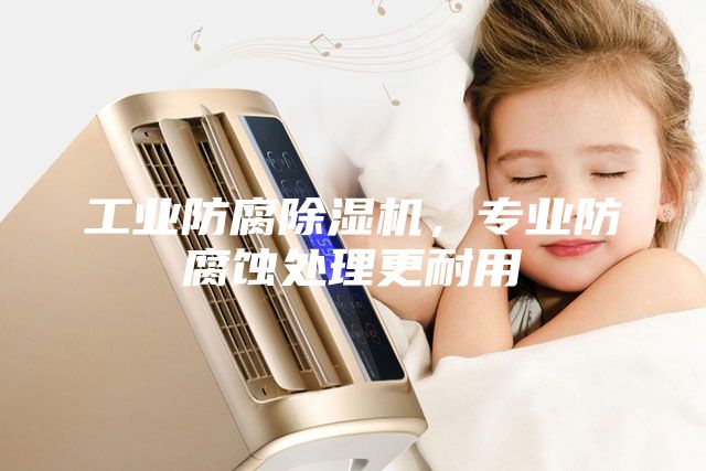 工业防腐除湿机，专业防腐蚀处理更耐用