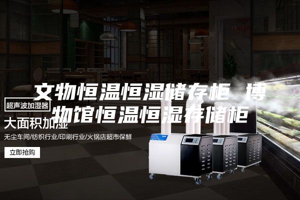 文物恒温恒湿储存柜 博物馆恒温恒湿存储柜