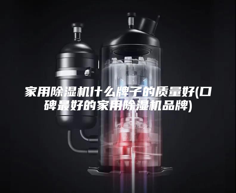 家用除湿机什么牌子的质量好(口碑最好的家用除湿机品牌)