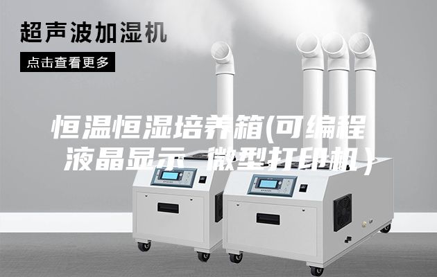 恒温恒湿培养箱(可编程 液晶显示 微型打印机）