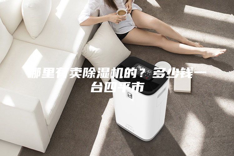 哪里有卖除湿机的？多少钱一台四平市