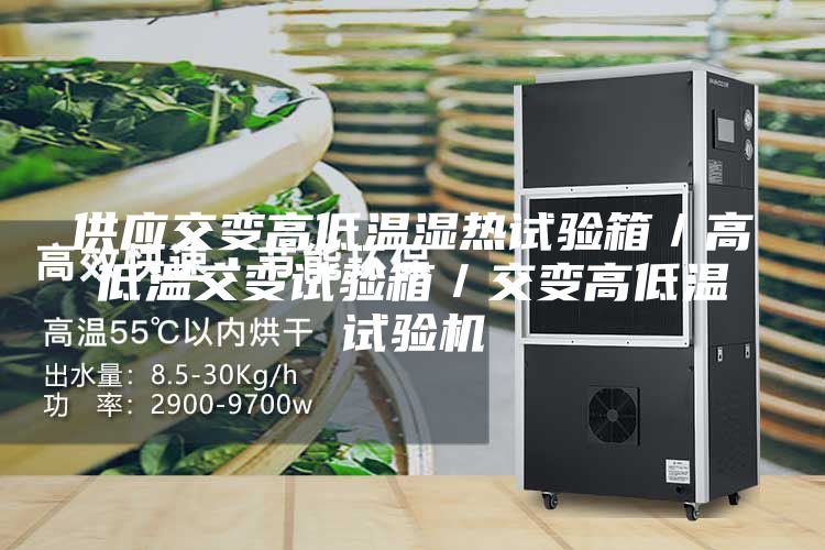 供应交变高低温湿热试验箱／高低温交变试验箱／交变高低温试验机