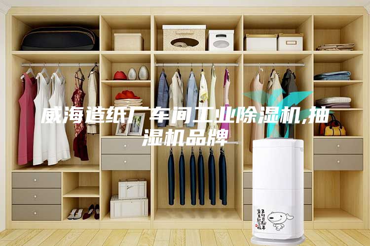 威海造纸厂车间工业除湿机,抽湿机品牌